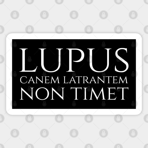 lupus non timet canem latrantem - a wolf is not afraid of a barking dog - Latin quote Magnet by Styr Designs